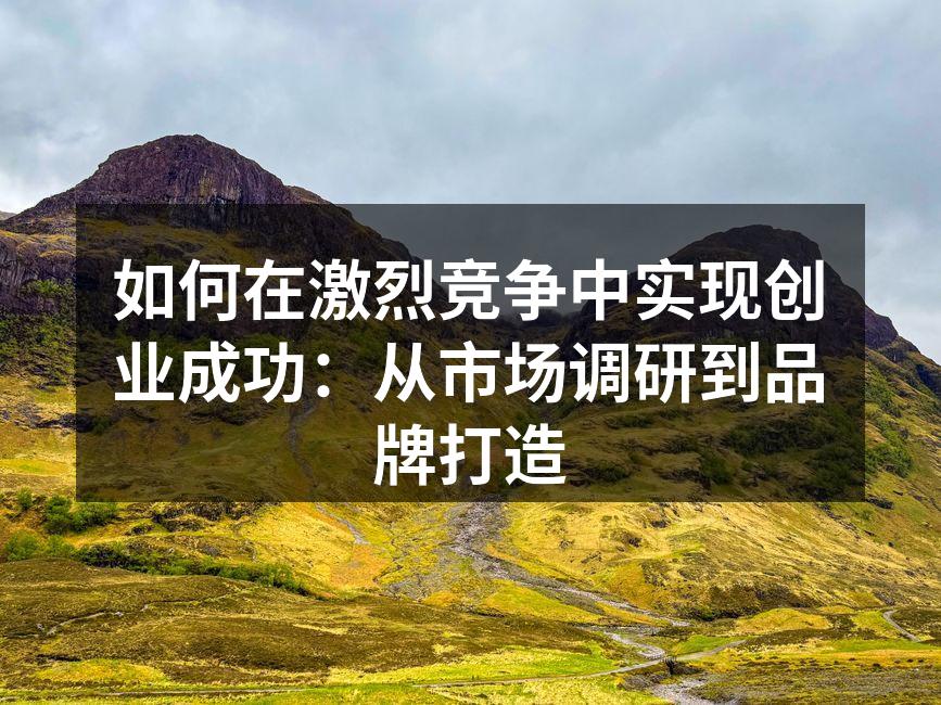 如何在激烈竞争中实现创业成功：从市场调研到品牌打造