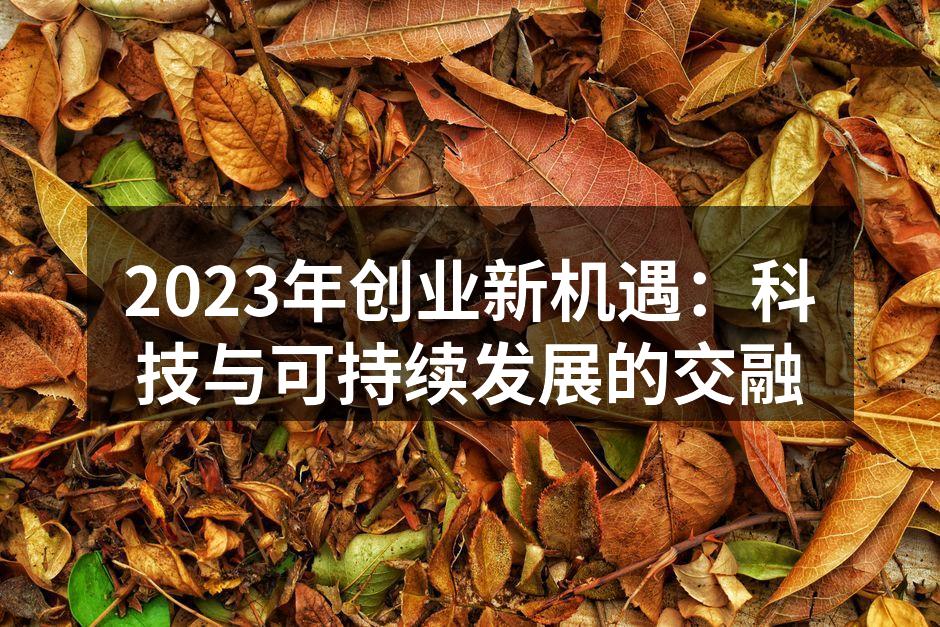 2023年创业新机遇：科技与可持续发展的交融